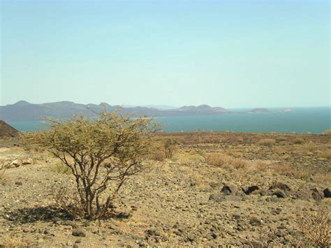 Lake Turkana - Wikipedia