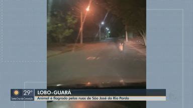 Jornal da EPTV 1ª Edição São Carlos Araraquara Motorista flagra