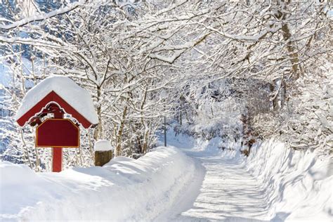 Winter Wonderland stock photo. Image of landscape, country - 19733970