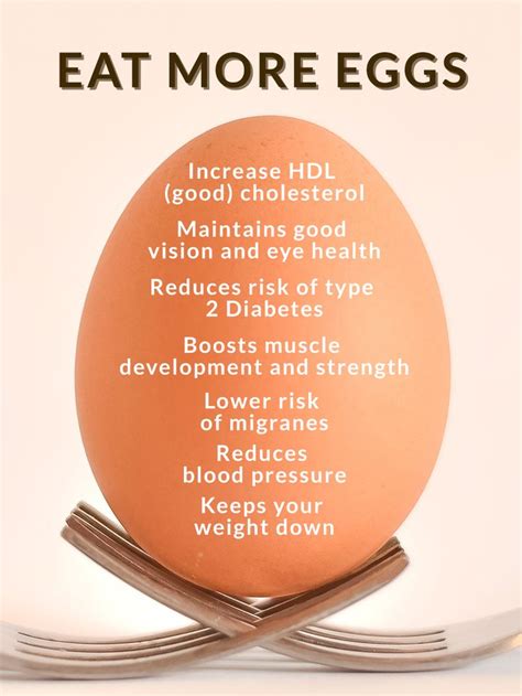 What Are The Health Benefits Of Eggs Find Out Here How It Good As Energy Sources Bone And