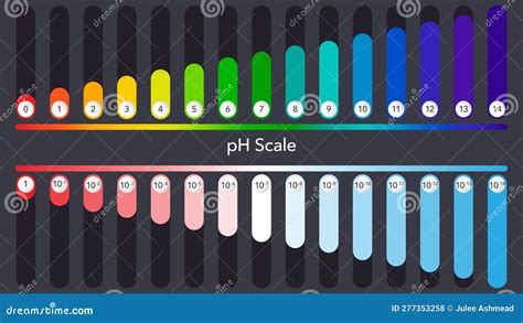 PH Scale Scientific Vector Illustration Infographic Stock Vector ...