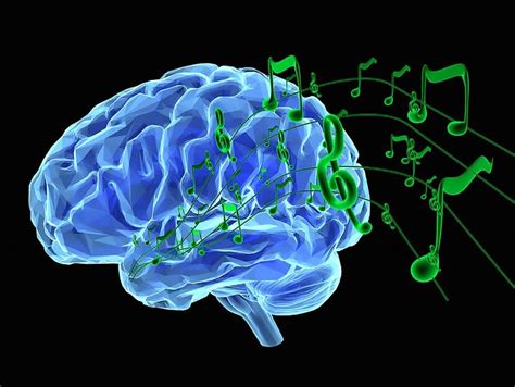 Pin On Music On The Brain