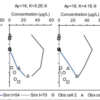 Simulated Sim And Observed Obs Concentration Over Depth In Clayey