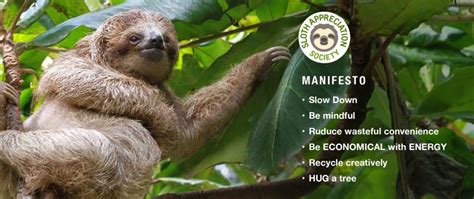 SLOTH CONSERVATION - Slothville