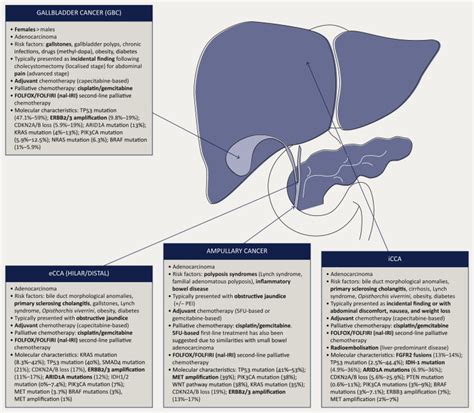 How I Treat Biliary Tract Cancer Esmo Open