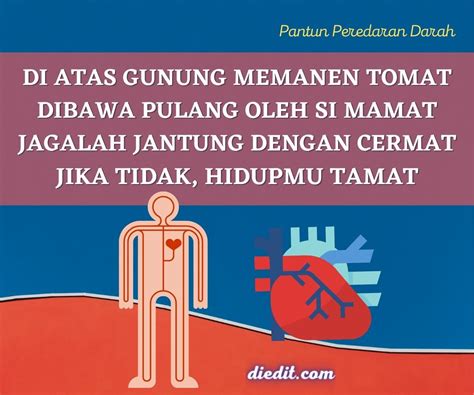 Kumpulan Pantun Akhiran N yang Keren | diedit.com