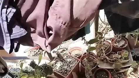 Cum Gay Public Amateur Porn Feat Dragons XHamster