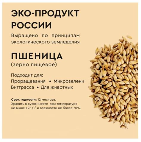 Зерно для проращивания 1 кг - купить с доставкой по выгодным ценам в ...
