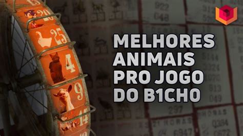 Simulador Jogo Do Bicho - Simulador de Jogo do Bicho: O Guia Definitivo | Actualizado Julho 2026