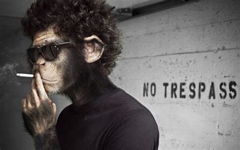 Monkey Smoking Weed Hd - 1920x1200 Wallpaper - teahub.io