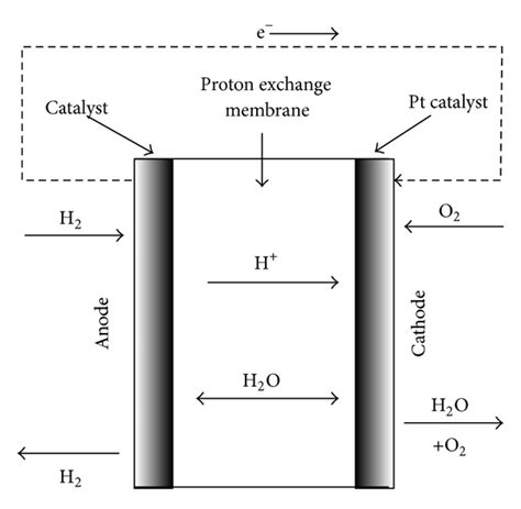 The structure of fuel cell and chemical structure of Nafion 117 membrane. | Download Scientific ...