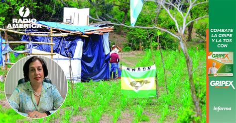 Al menos 25 mil hectáreas de tierra productiva han sido invadidas