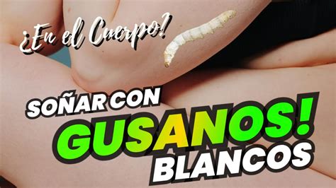 Qu Significa So Ar Con Gusanos Blancos En El Cuerpo Youtube