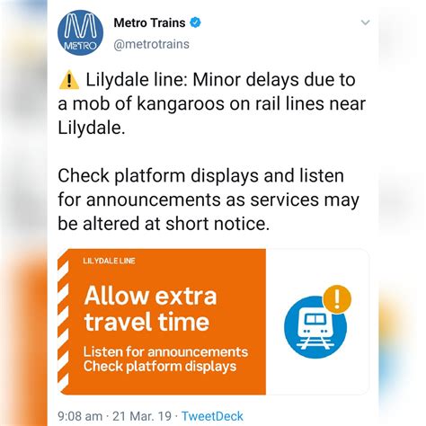 Just my luck, train delayed...due to a mob of kangaroos 😂 : r/australia