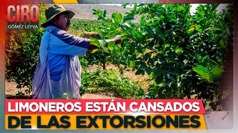 Productores y empacadores de limón pararon actividades en Apatzingán