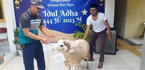 Yaketunis Yogyakarta Lakukan Pemotongan Hewan Qurban