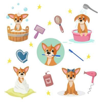 Clean Up After Dog Vector Art, Icons, and Graphics for Free Download