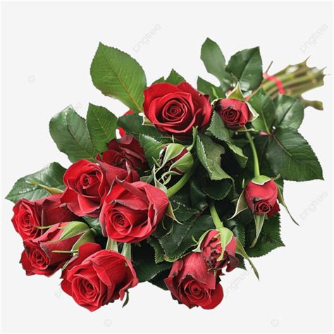 Hermoso Ramo De Rosas Rojas Con Hojas Verdes Png Dibujos Ramo Rosa