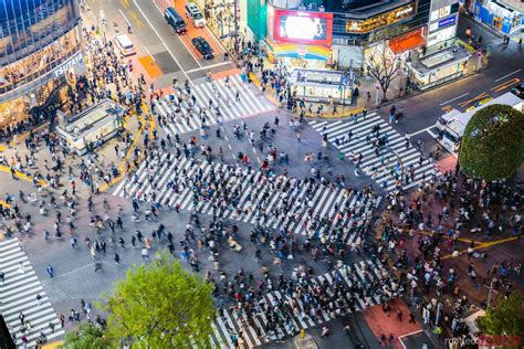 shibuya crossing crowded tokyo japan royalty  image