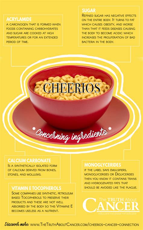 Cheerios Nutrition Is This Popular Food Actually Healthy For Kids