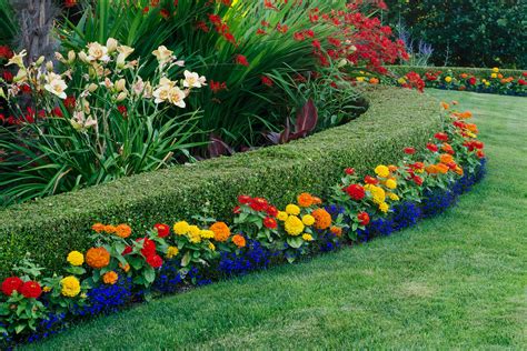 planning a garden with colors | Levy's Lawns and Landscaping