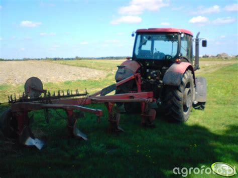 Foto Traktor Zetor Proxima 8441 168962 Galeria Rolnicza Agrofoto