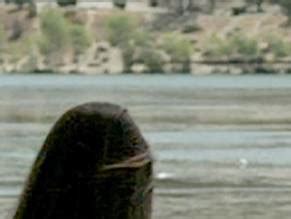 Forget Me Not Nude Scenes Aznude