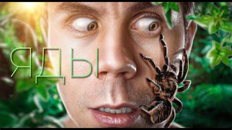 ЧЕМ ОТРАВИТЬСЯ, ЧТОБЫ ВЫЖИТЬ? – ТОПЛЕС - YouTube