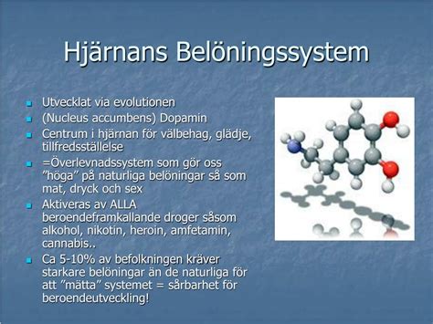 PPT Hjärnan Och Dess Belöningssystem PowerPoint Presentation free