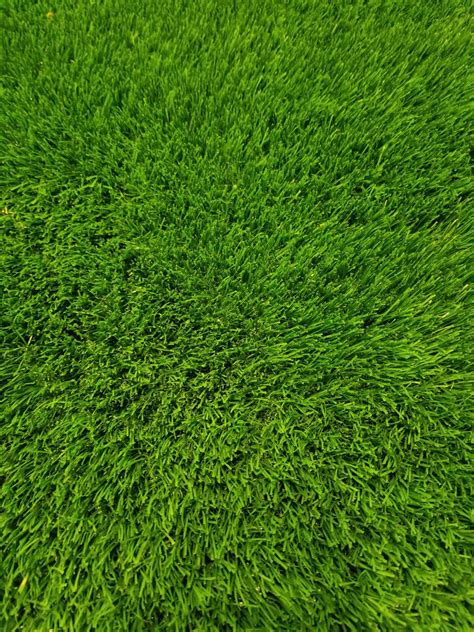 Lush Synthetic Grass | Premium Grass Blades in Mission BC
