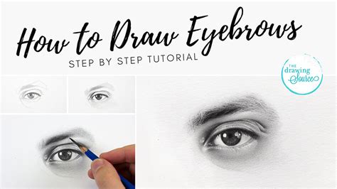 How To Draw Eyebrows Step By Step Realistic Drawing Tutorial