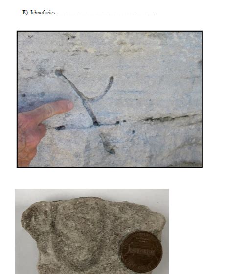 Solved Listed below are different assemblages of | Chegg.com 