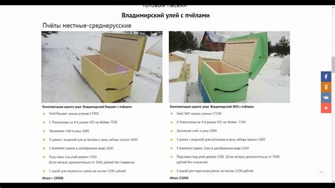 Готовая пасека начинающим пчеловодам. Купить улей с пчёлами и инвентарь ...
