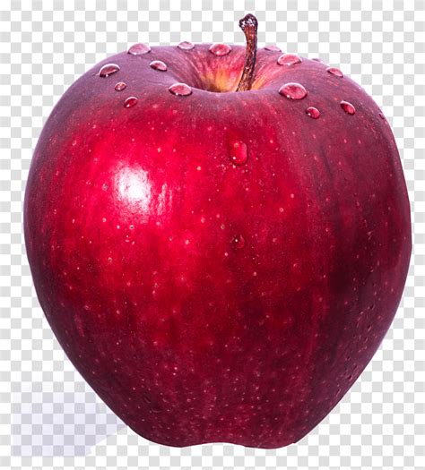 apple transparent png pngsetcom