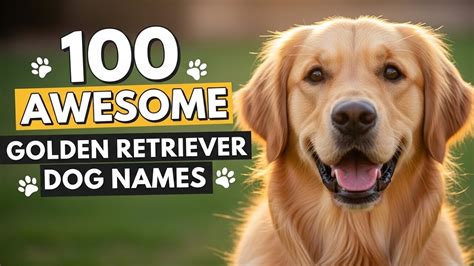 golden retriever names  ultimate guide