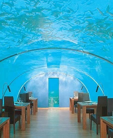 Top 5 Most Amazing Underwater Restaurants In Maldives Trip To