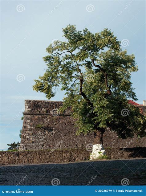 Uzhhorod Castle stock image. Image of historical, fortress - 20226979