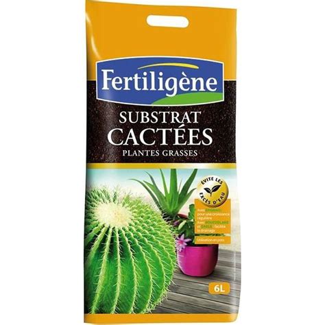 Terreau pour cactées FERTILIGENE 6 L Favorise une croissance