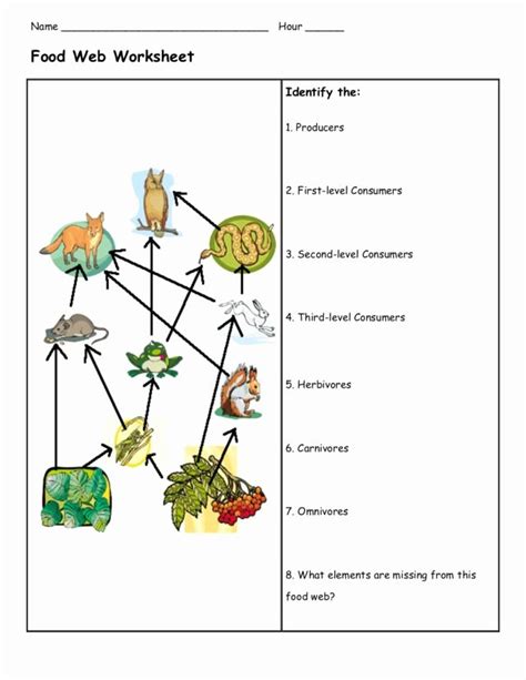 50 Food Web Worksheet Pdf