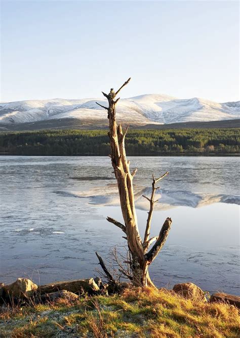 Aviemore Ski Resort in the Cairngorms National Park, in the Scottish Highlands. Stock Image ...