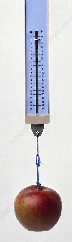 Newton meter measuring force of gravity - Stock Image C019/8892 ...