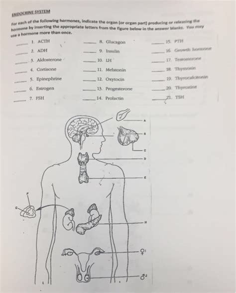 Solved For Each Of The Following Hormones Indicate The Chegg