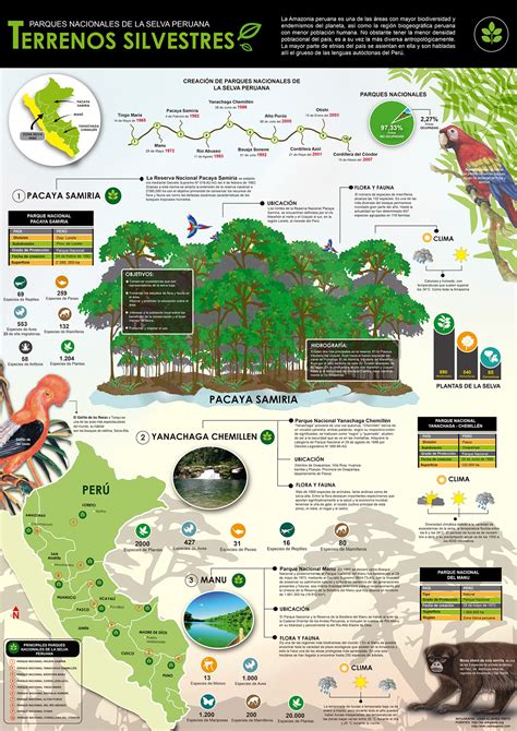 Infograf As Behance