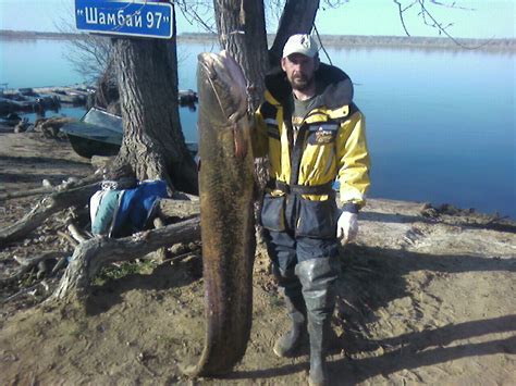 Photo 0008 - Галереи пользователей - Форум настоящих рыбаков :: Максим ...