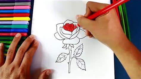 Pasos Para Dibujar Una Rosa