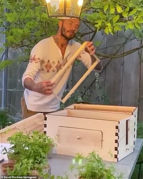 David Beckham takes up a new lockdown hobby as he builds beehives at ...