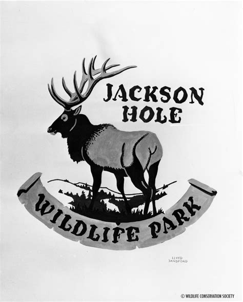 Celebrating The Nps Centennial In The Jackson Hole Wildlife Park Wcs