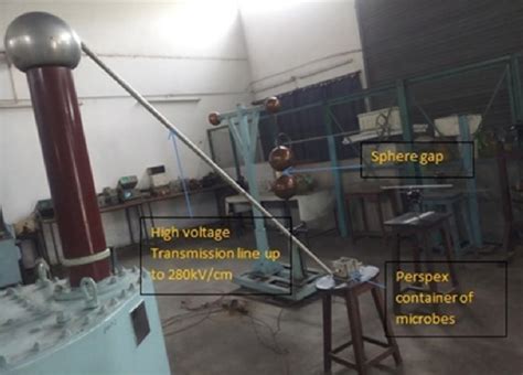 Laboratory setup for experiment | Download Scientific Diagram