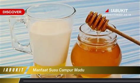 Intip Manfaat Susu Campur Madu Yang Bikin Kamu Penasaran Discover