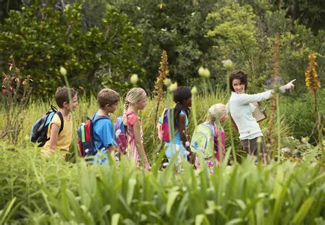 Nature's Classroom Chronicles: Outdoor Learning Tales From Summit Park ...